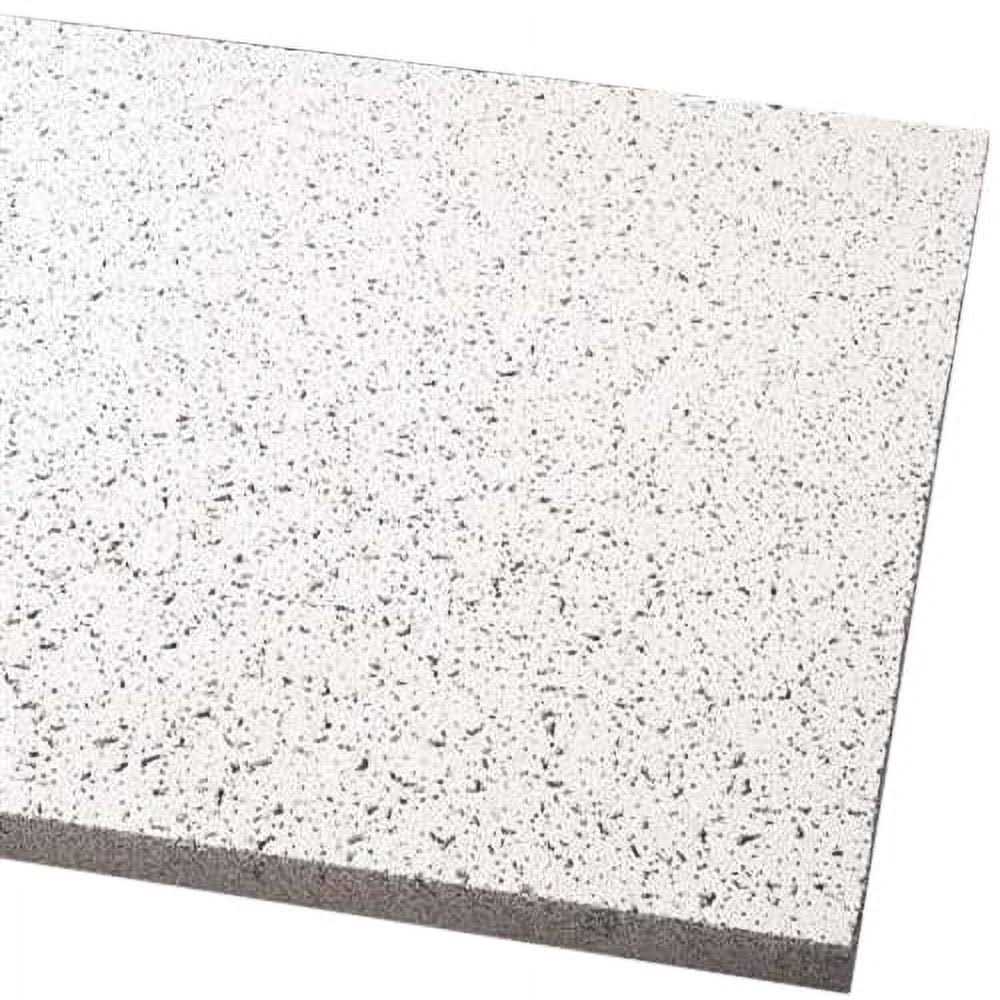 24 in x 24 Ceiling Tile K89113