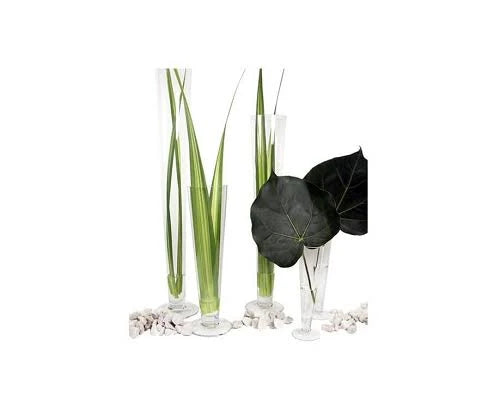 Clear Glass Trumpet Vase 20x22H 6ct T647