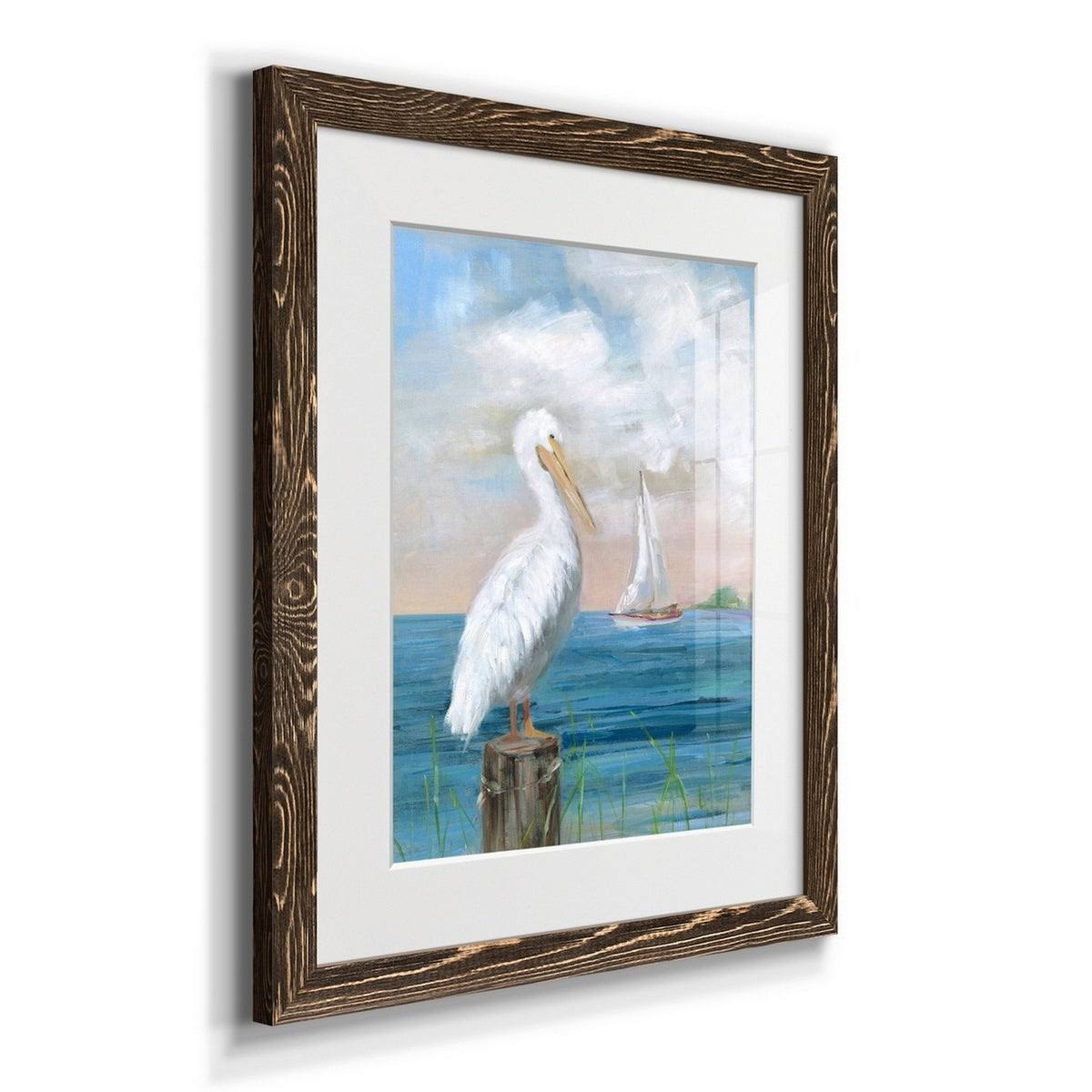 Framed Print Q571