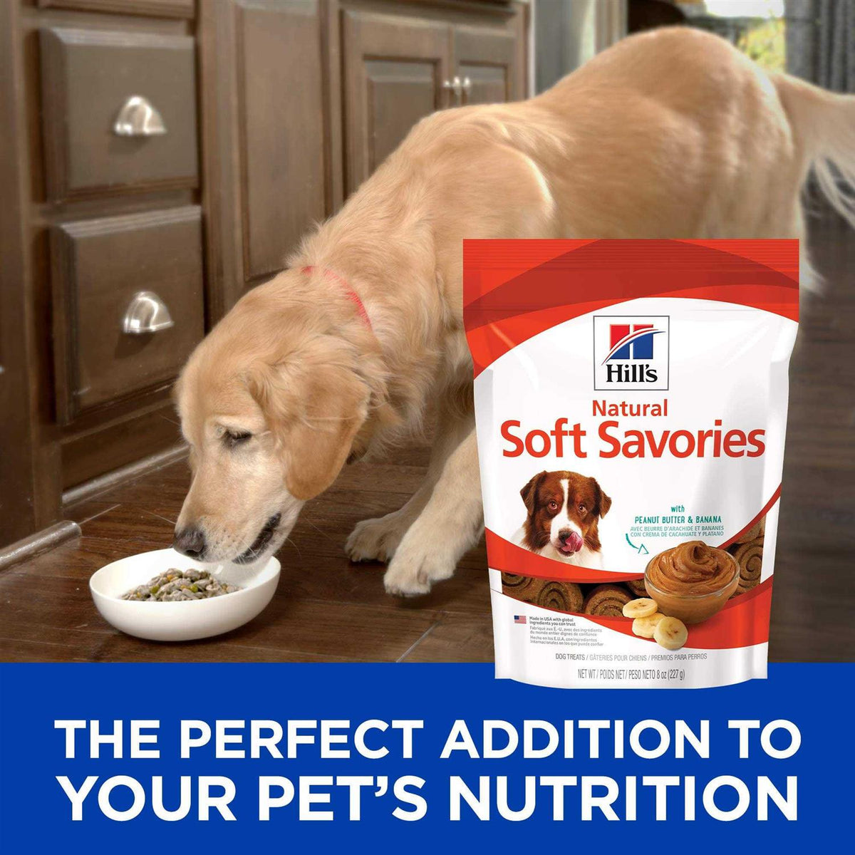 Dog Treats I9370