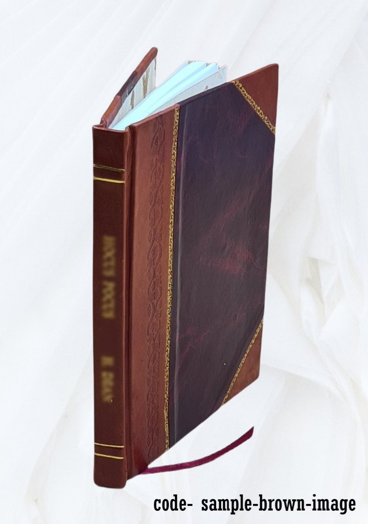 Leather Bound Book Z31635