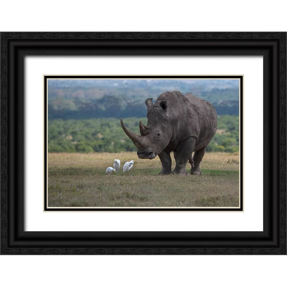 Black Ornate Wood Framed Art Print H319940