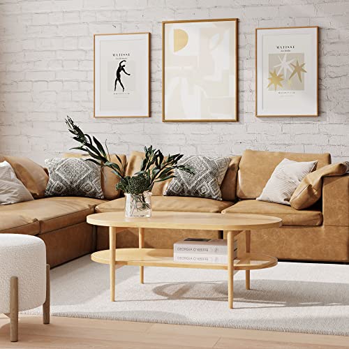 2-Tier Oval Coffee Table with Storage Shelf T1151