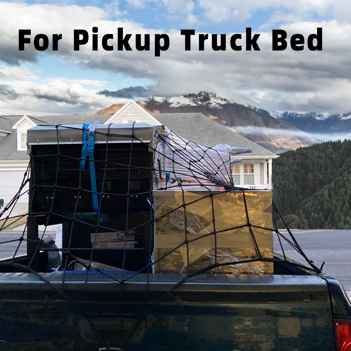Heavy Duty Bungee Cargo Net W38131