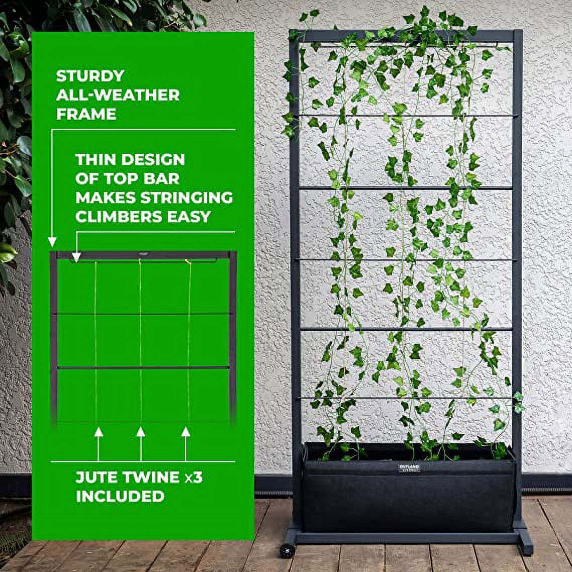 Trellis Garden E15668