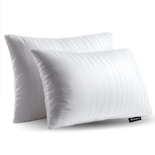 King Goose Feathers Cotton Pillows Pack of 2 G847