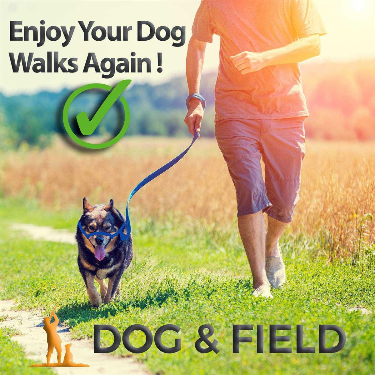 Anti Pull Dog Leash Halter Head Collar One Size Fits All E730
