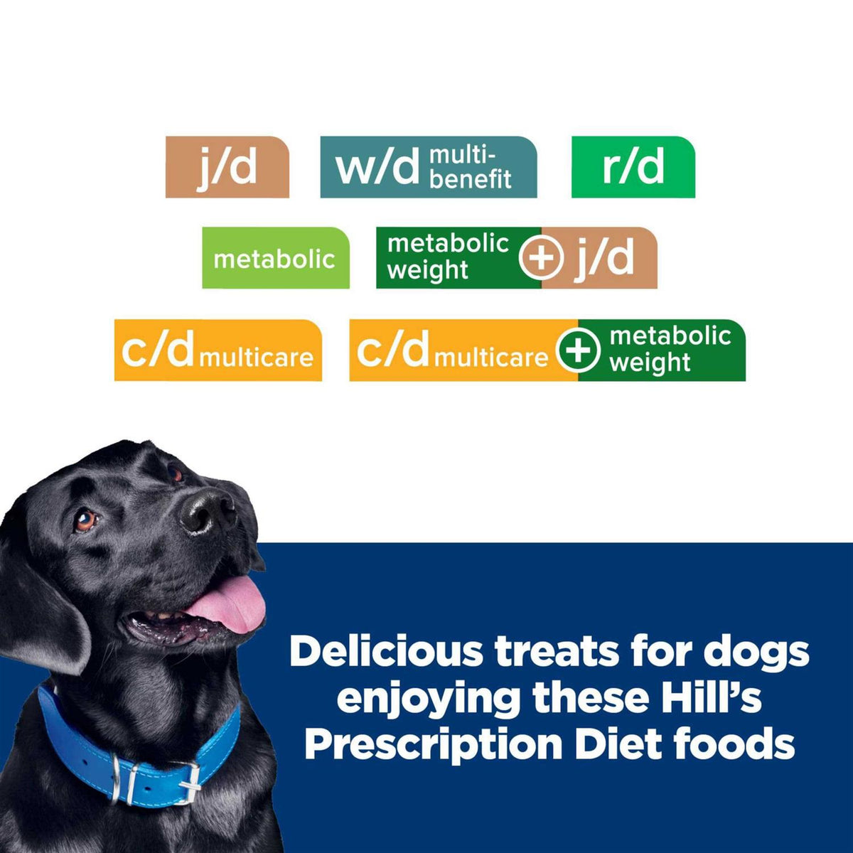 Dog Treats U415672