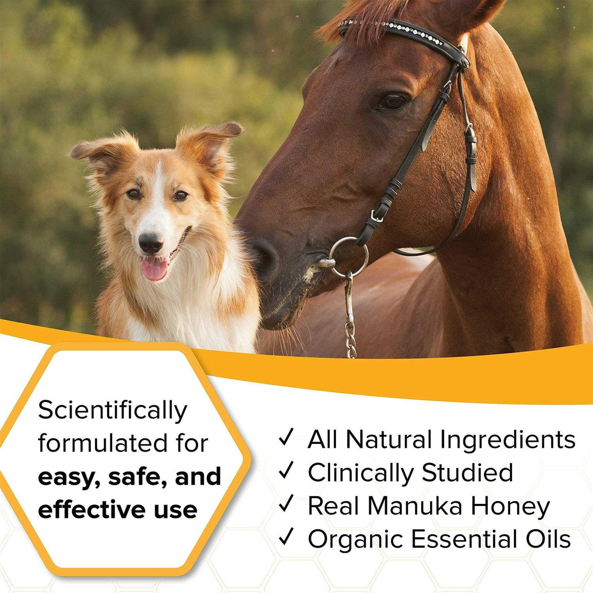 Natural Veterinary Ointment O90402