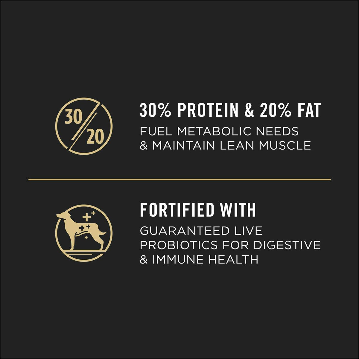 Beef & Bison Formula Dry Dog Food E43991