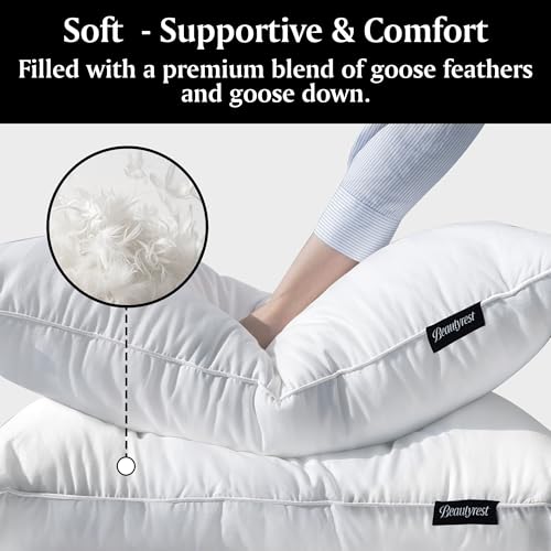 King Goose Feathers Cotton Pillows Pack of 2 G847
