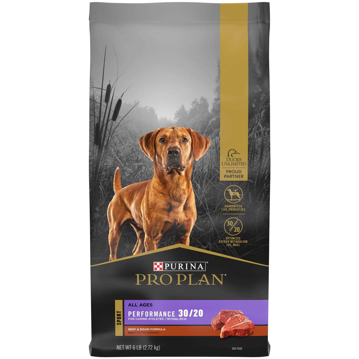 Beef & Bison Formula Dry Dog Food E43991