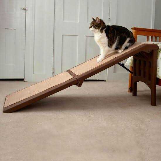 Pet Ramp J854717